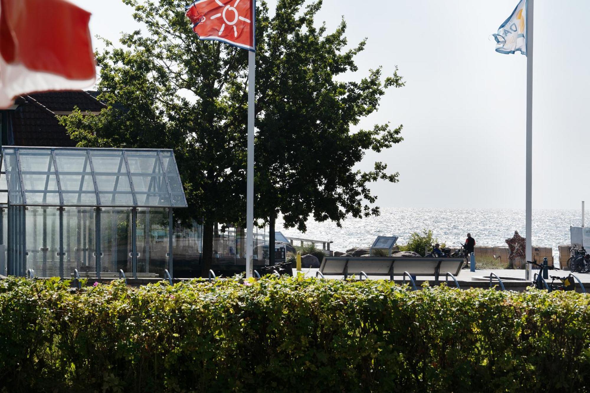 Haus Seeblick Strandmuschel ケレンフーゼン エクステリア 写真